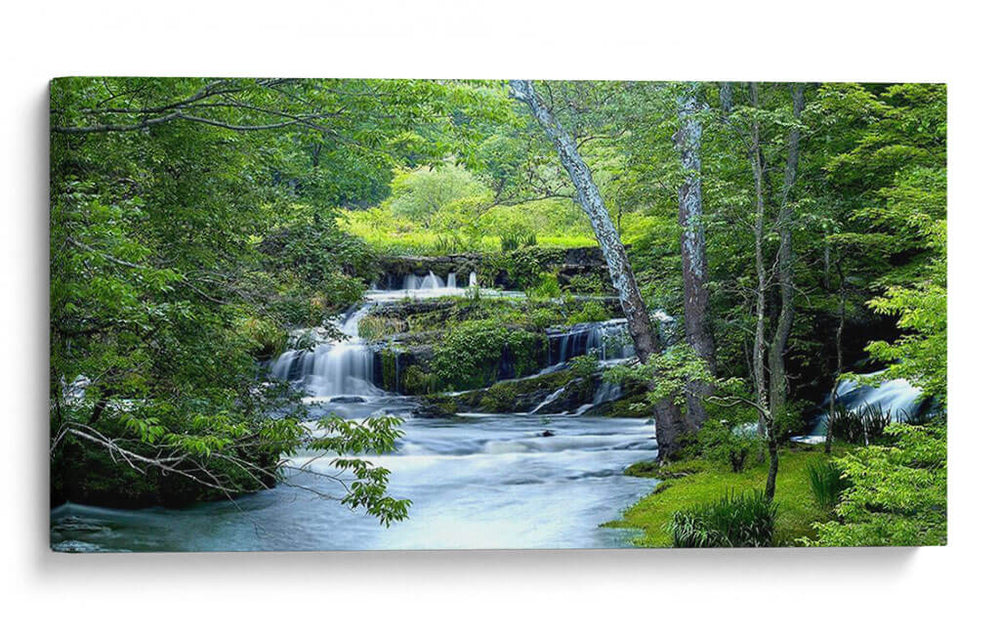 Bosque Encantado - James McLoughlin | Cuadro decorativo de Canvas Lab