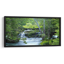 Bosque Encantado - James McLoughlin | Cuadro decorativo de Canvas Lab