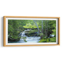 Bosque Encantado - James McLoughlin | Cuadro decorativo de Canvas Lab