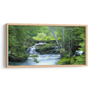 Bosque Encantado - James McLoughlin | Cuadro decorativo de Canvas Lab