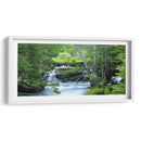 Bosque Encantado - James McLoughlin | Cuadro decorativo de Canvas Lab