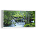 Bosque Encantado - James McLoughlin | Cuadro decorativo de Canvas Lab