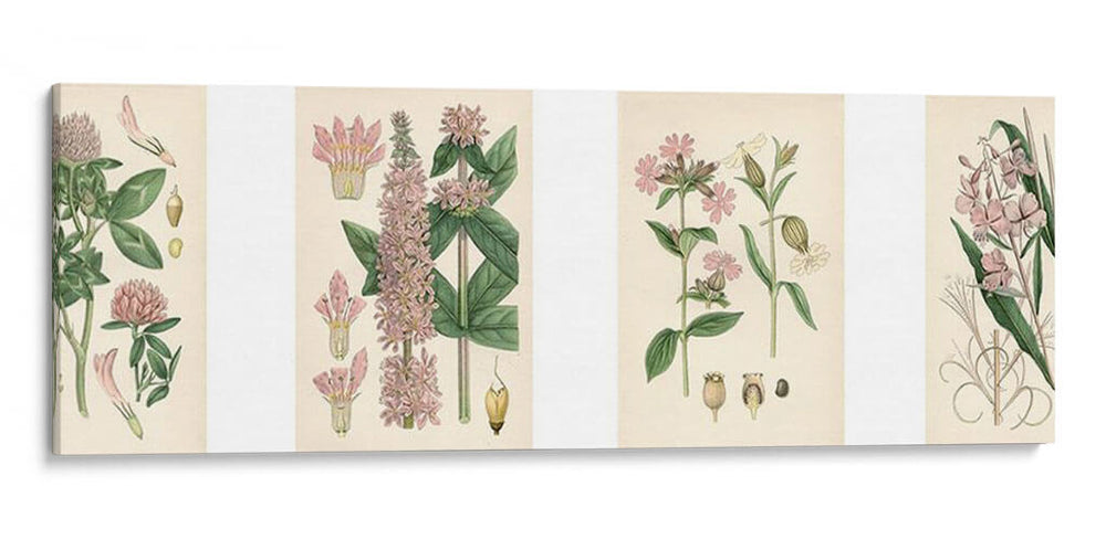 Botánicos Rosados | Cuadro decorativo de Canvas Lab