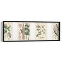 Botánicos Rosados | Cuadro decorativo de Canvas Lab