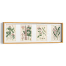 Botánicos Rosados | Cuadro decorativo de Canvas Lab