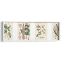 Botánicos Rosados | Cuadro decorativo de Canvas Lab