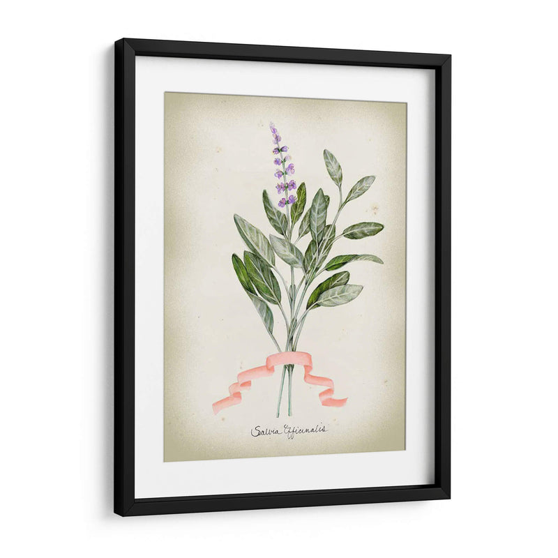 Serie Herb I - Jennifer Goldberger | Cuadro decorativo de Canvas Lab