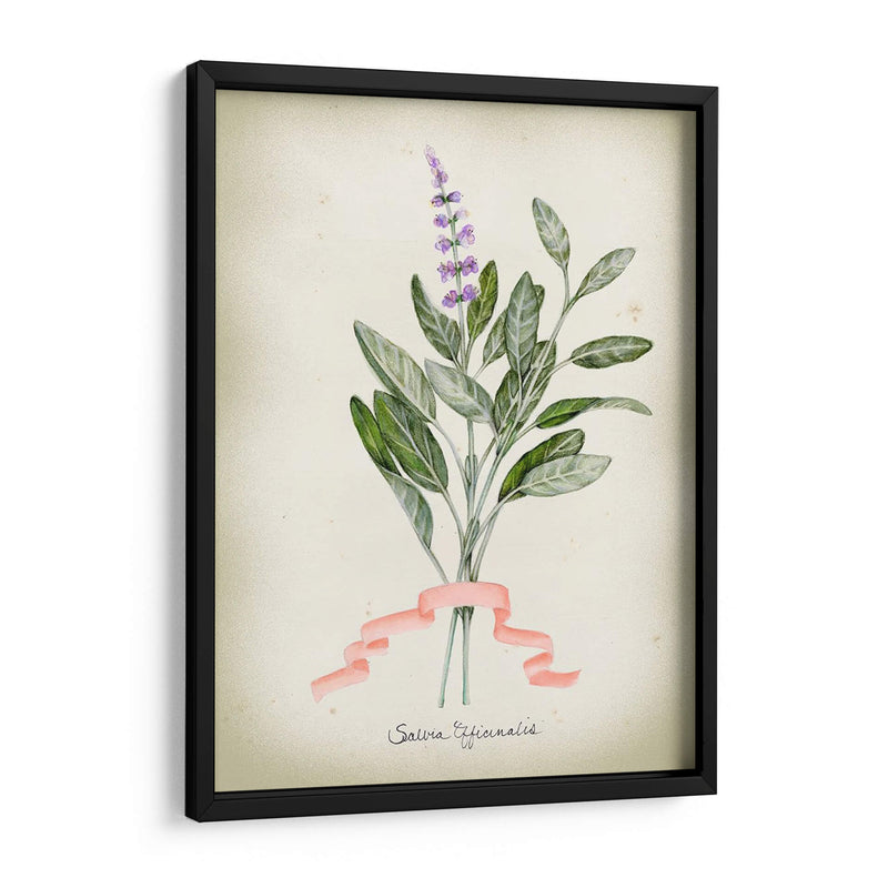 Serie Herb I - Jennifer Goldberger | Cuadro decorativo de Canvas Lab