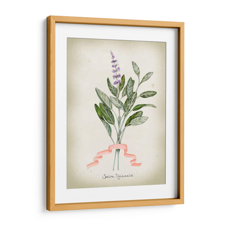 Serie Herb I - Jennifer Goldberger | Cuadro decorativo de Canvas Lab