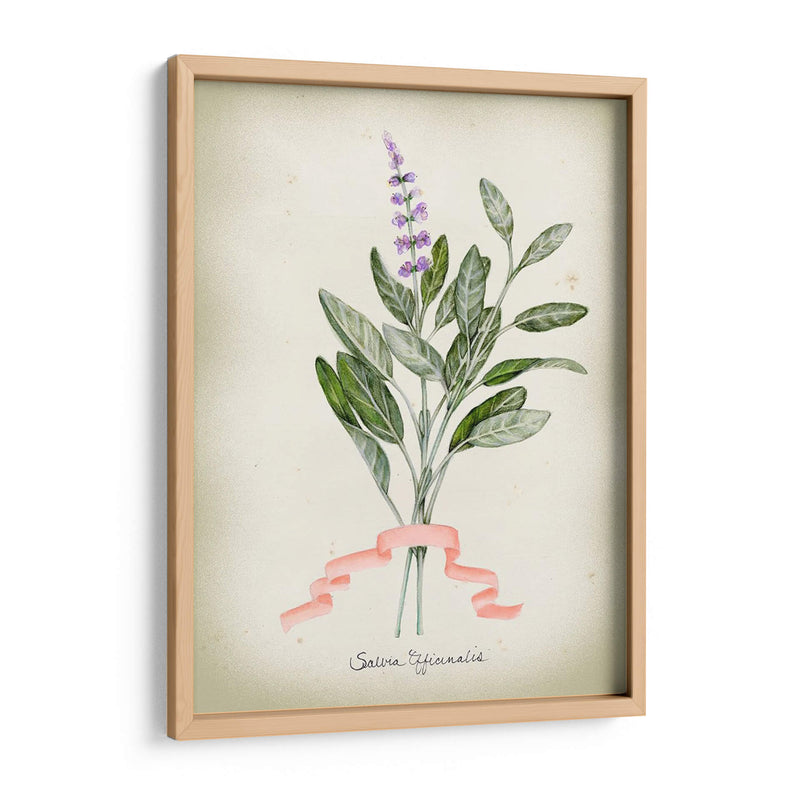 Serie Herb I - Jennifer Goldberger | Cuadro decorativo de Canvas Lab