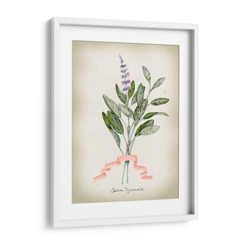 Serie Herb I - Jennifer Goldberger | Cuadro decorativo de Canvas Lab