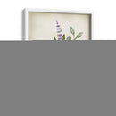 Serie Herb I - Jennifer Goldberger | Cuadro decorativo de Canvas Lab