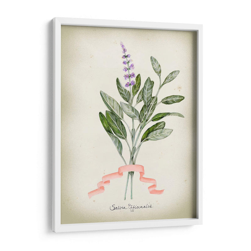 Serie Herb I - Jennifer Goldberger | Cuadro decorativo de Canvas Lab