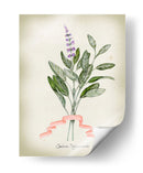 Serie Herb I - Jennifer Goldberger | Cuadro decorativo de Canvas Lab