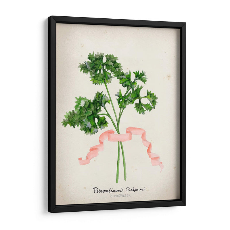 Serie Herb Ii - Jennifer Goldberger | Cuadro decorativo de Canvas Lab