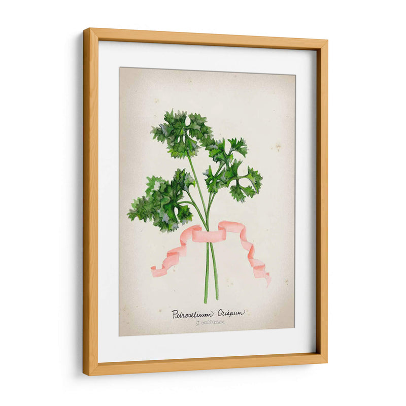 Serie Herb Ii - Jennifer Goldberger | Cuadro decorativo de Canvas Lab