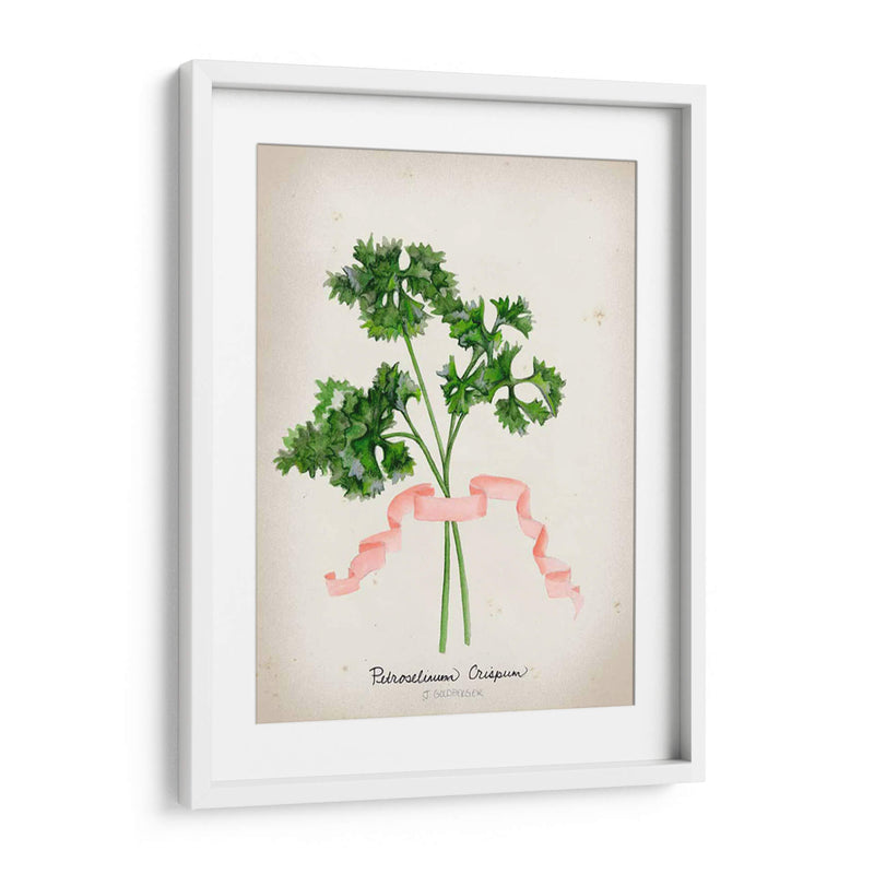 Serie Herb Ii - Jennifer Goldberger | Cuadro decorativo de Canvas Lab