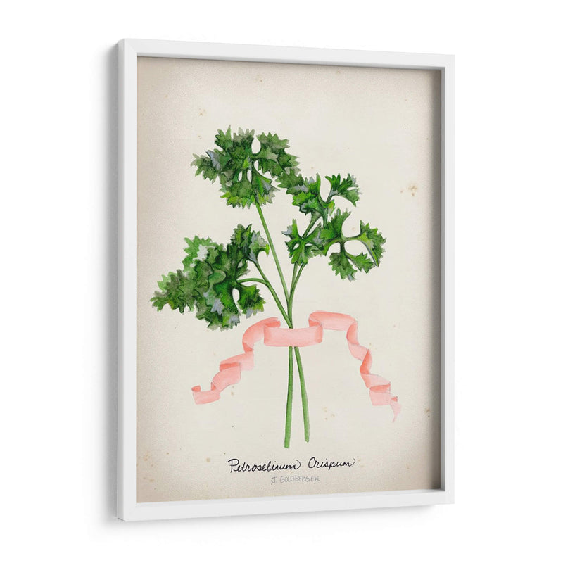 Serie Herb Ii - Jennifer Goldberger | Cuadro decorativo de Canvas Lab