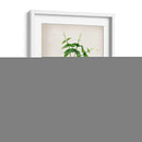 Serie Herb Iv - Jennifer Goldberger | Cuadro decorativo de Canvas Lab