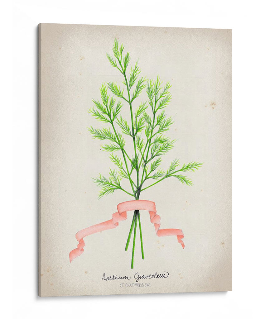 Serie Herb V - Jennifer Goldberger | Cuadro decorativo de Canvas Lab