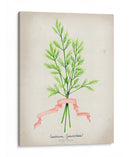 Serie Herb V - Jennifer Goldberger | Cuadro decorativo de Canvas Lab