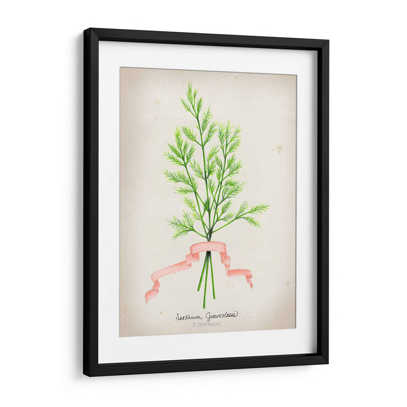 Serie Herb V - Jennifer Goldberger | Cuadro decorativo de Canvas Lab