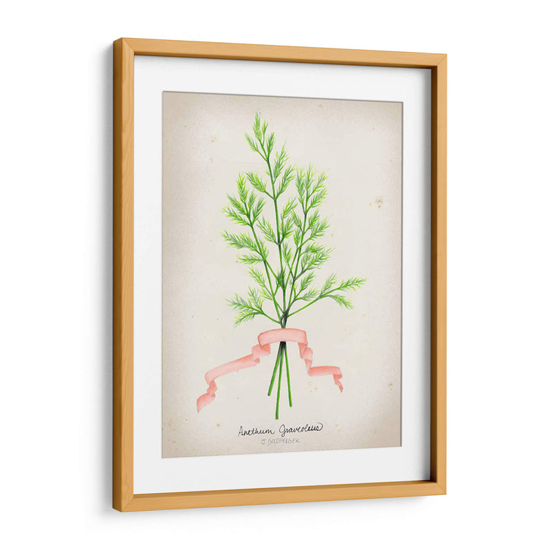 Serie Herb V - Jennifer Goldberger | Cuadro decorativo de Canvas Lab