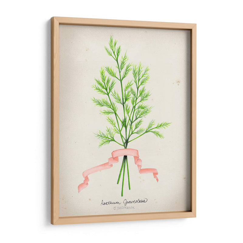 Serie Herb V - Jennifer Goldberger | Cuadro decorativo de Canvas Lab