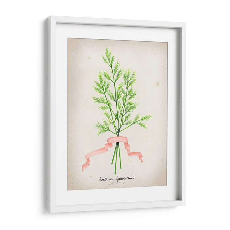 Serie Herb V - Jennifer Goldberger | Cuadro decorativo de Canvas Lab