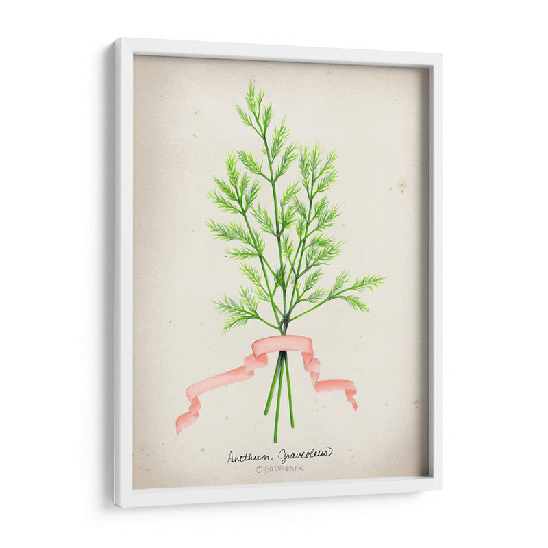 Serie Herb V - Jennifer Goldberger | Cuadro decorativo de Canvas Lab