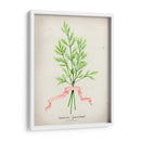 Serie Herb V - Jennifer Goldberger | Cuadro decorativo de Canvas Lab