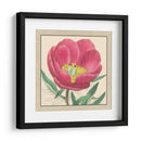 Colección De Peonía Pequeña I - Vision Studio | Cuadro decorativo de Canvas Lab