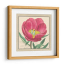 Colección De Peonía Pequeña I - Vision Studio | Cuadro decorativo de Canvas Lab