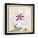 Pequeña Colección De Peonía Iv - Vision Studio | Cuadro decorativo de Canvas Lab