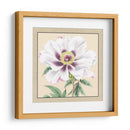 Colección De Peonía Pequeña Vi - Vision Studio | Cuadro decorativo de Canvas Lab