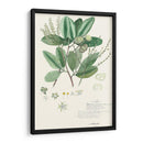 Descubes Delicados Iii - A. Descubes | Cuadro decorativo de Canvas Lab