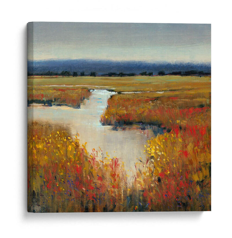 Tierra De Marsh I - Tim OToole | Cuadro decorativo de Canvas Lab