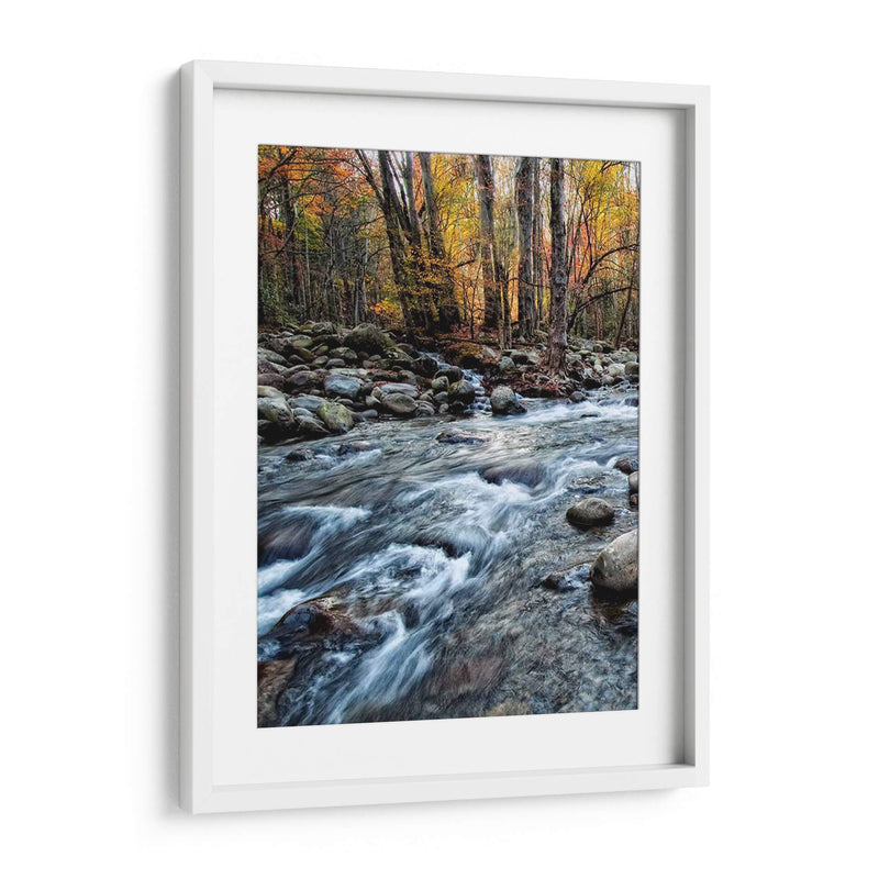 Porters Creek I - Danny Head | Cuadro decorativo de Canvas Lab