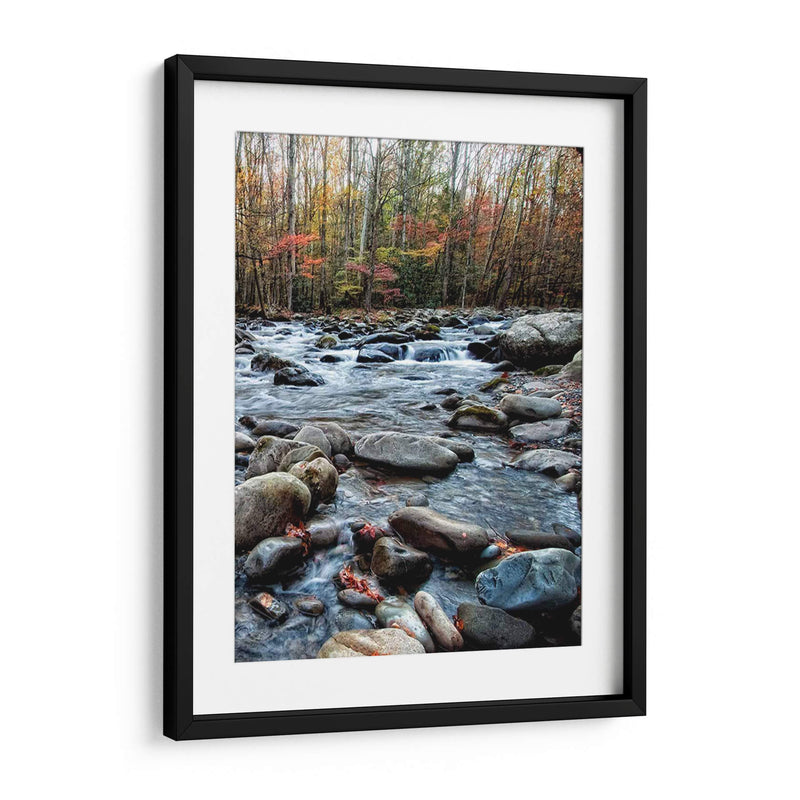 Porters Creek Ii - Danny Head | Cuadro decorativo de Canvas Lab