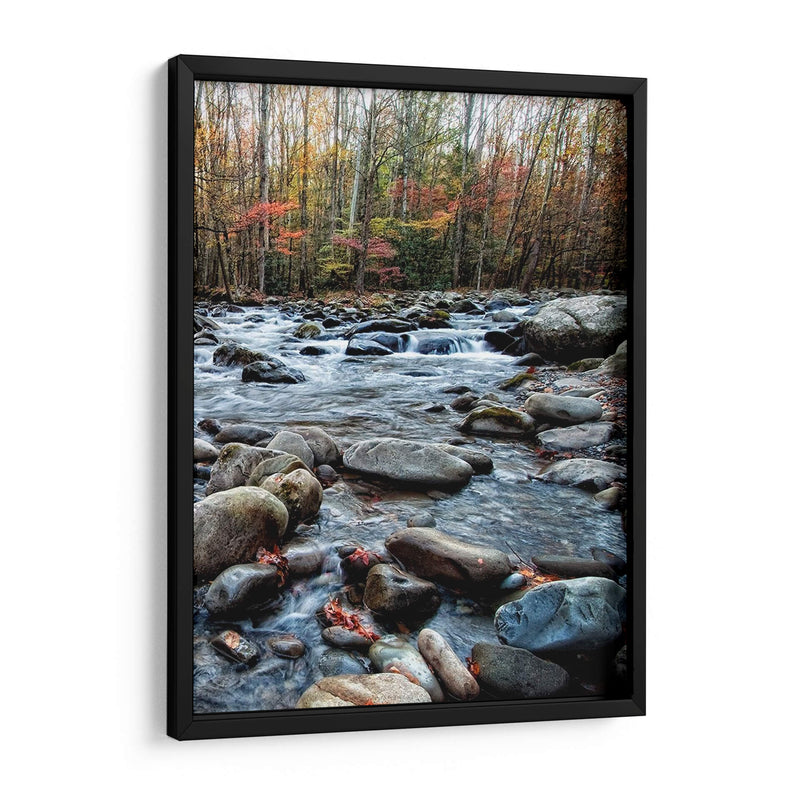 Porters Creek Ii - Danny Head | Cuadro decorativo de Canvas Lab