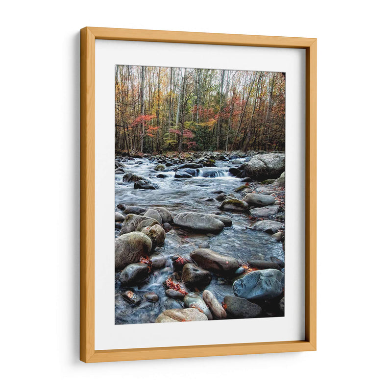 Porters Creek Ii - Danny Head | Cuadro decorativo de Canvas Lab