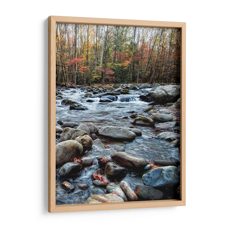 Porters Creek Ii - Danny Head | Cuadro decorativo de Canvas Lab