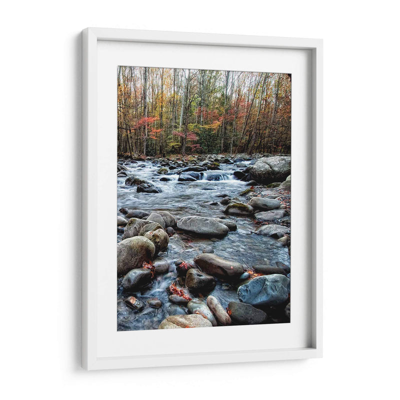 Porters Creek Ii - Danny Head | Cuadro decorativo de Canvas Lab