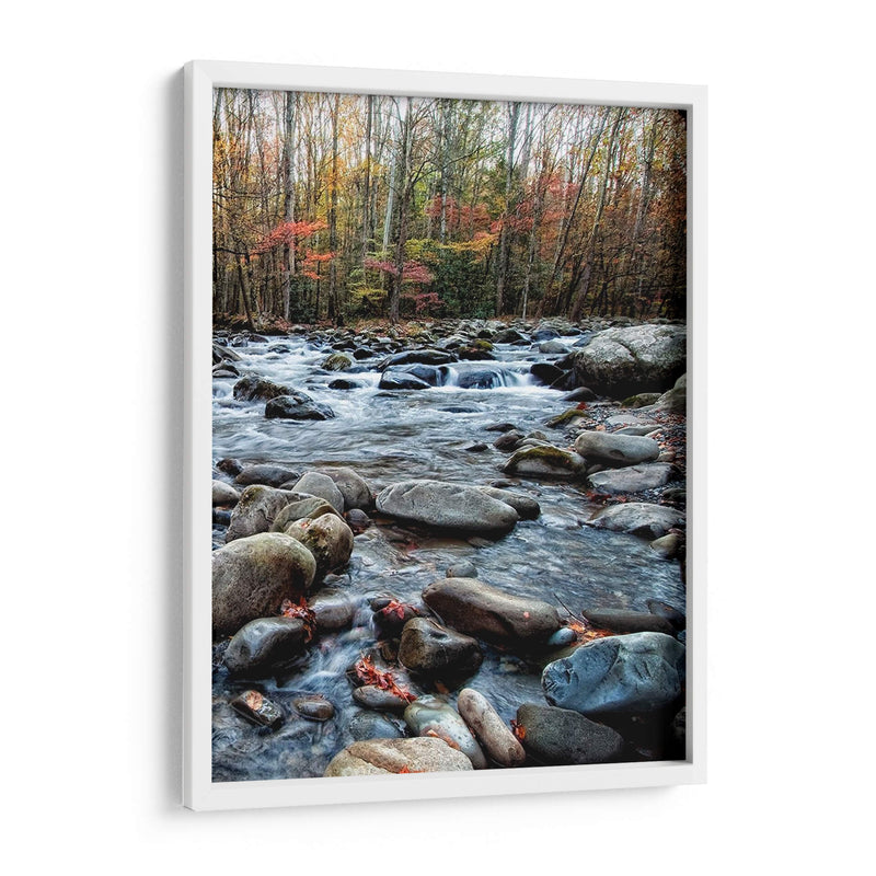 Porters Creek Ii - Danny Head | Cuadro decorativo de Canvas Lab