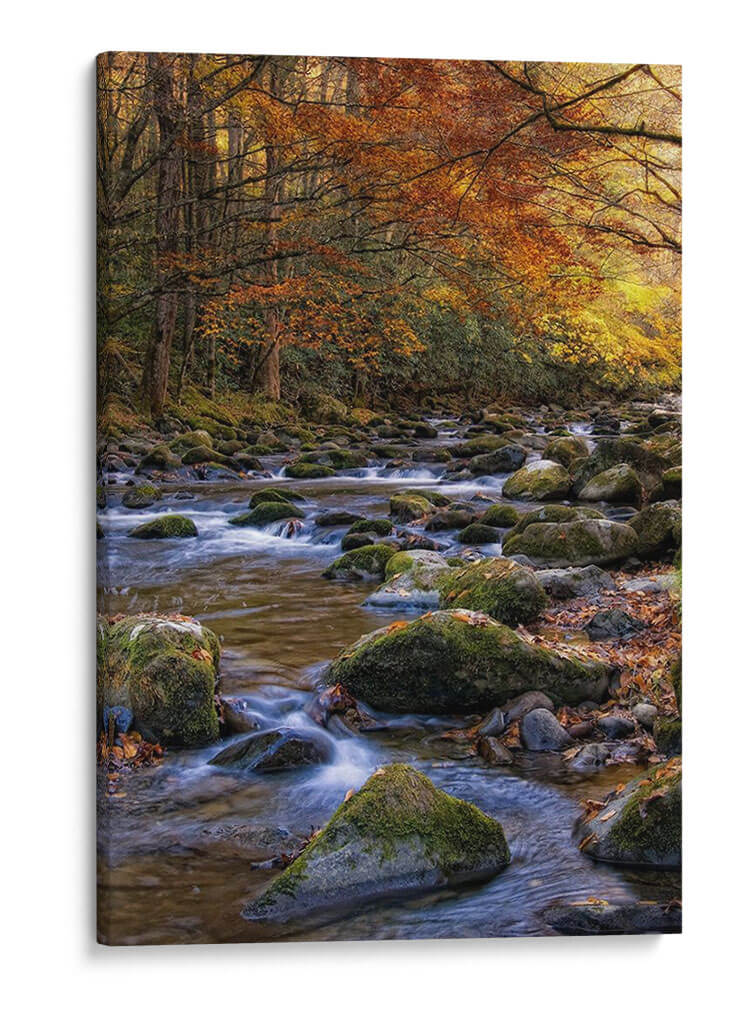 Otoño En Little River - Danny Head | Cuadro decorativo de Canvas Lab