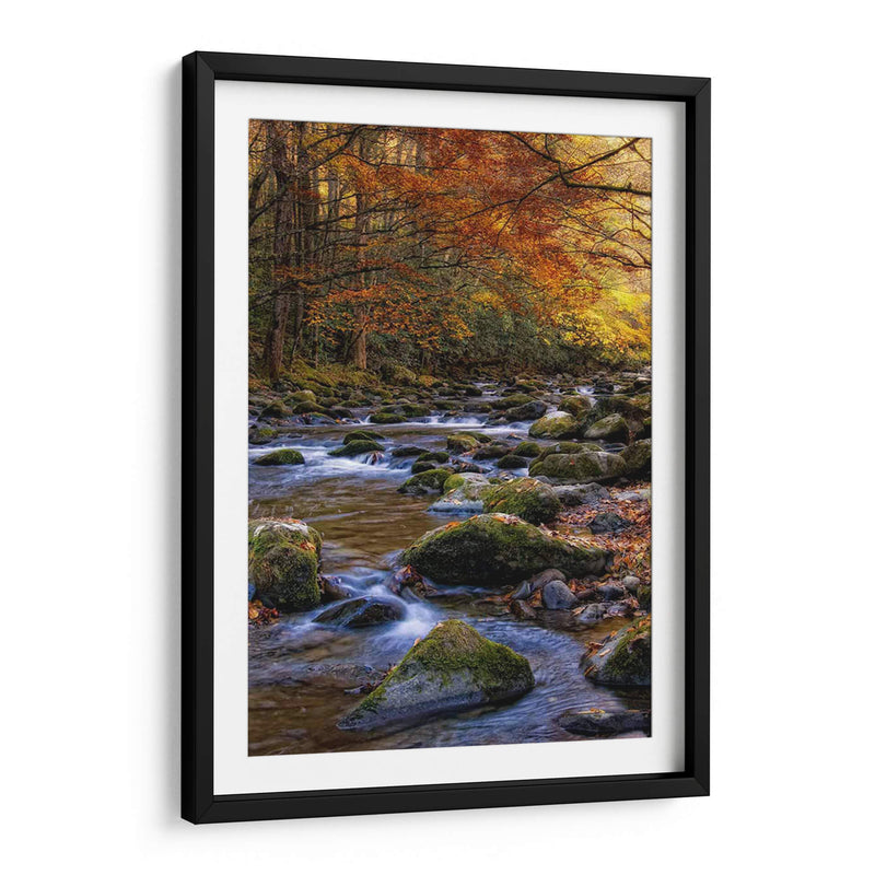 Otoño En Little River - Danny Head | Cuadro decorativo de Canvas Lab