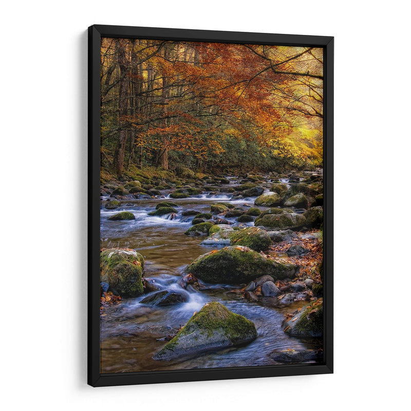 Otoño En Little River - Danny Head | Cuadro decorativo de Canvas Lab