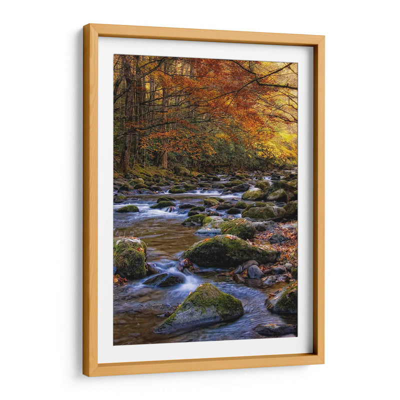 Otoño En Little River - Danny Head | Cuadro decorativo de Canvas Lab