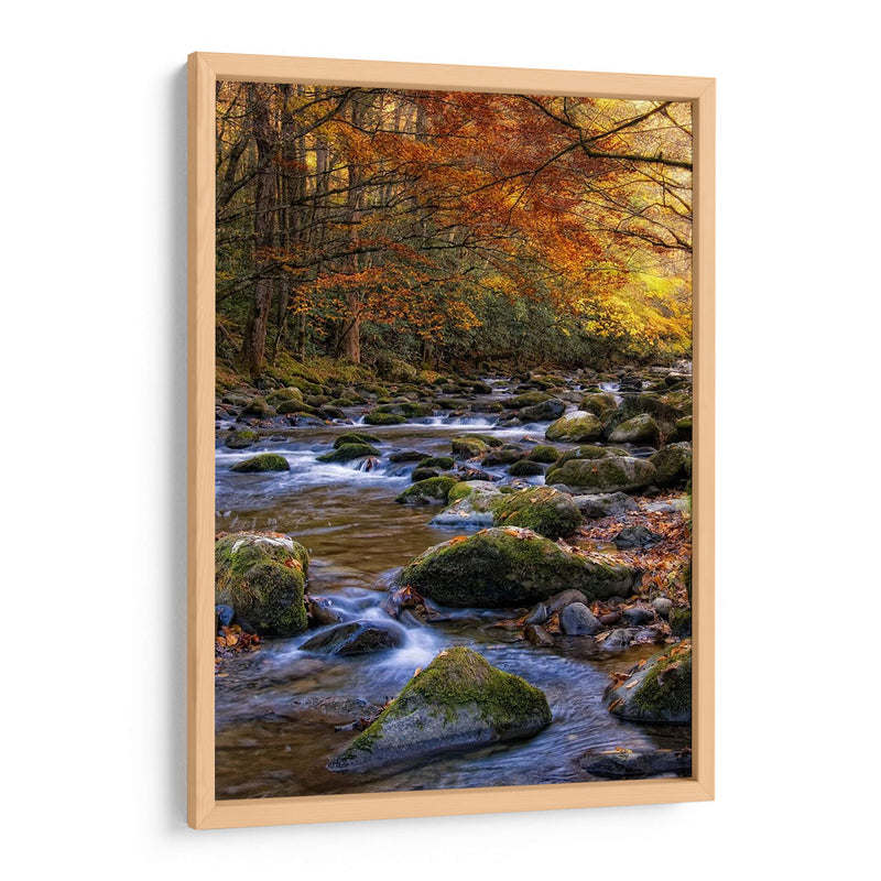 Otoño En Little River - Danny Head | Cuadro decorativo de Canvas Lab