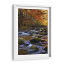Otoño En Little River - Danny Head | Cuadro decorativo de Canvas Lab